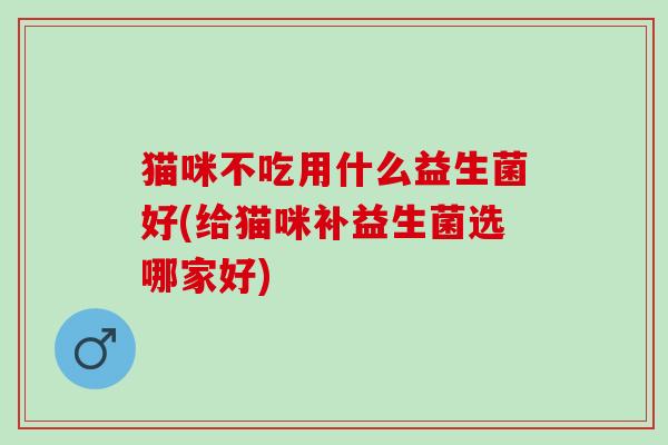猫咪不吃用什么益生菌好(给猫咪补益生菌选哪家好)