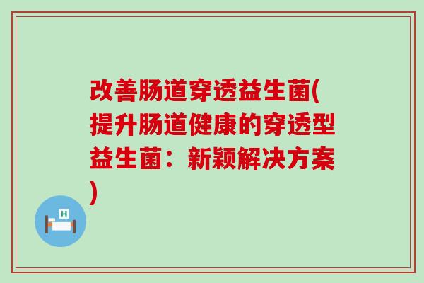 改善肠道穿透益生菌(提升肠道健康的穿透型益生菌：新颖解决方案)