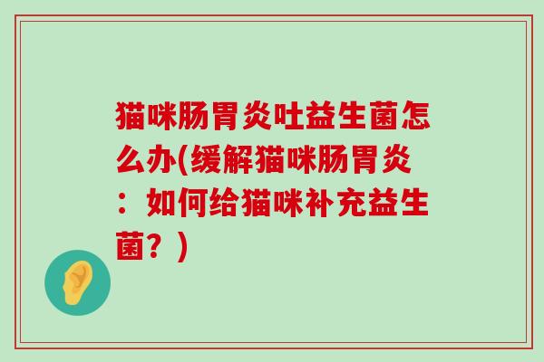 猫咪肠胃炎吐益生菌怎么办(缓解猫咪肠胃炎：如何给猫咪补充益生菌？)