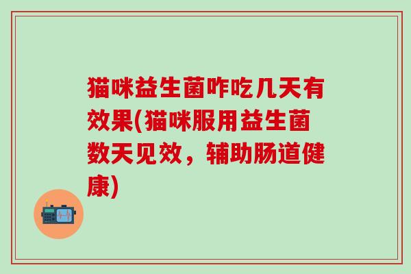 猫咪益生菌咋吃几天有效果(猫咪服用益生菌数天见效，辅助肠道健康)