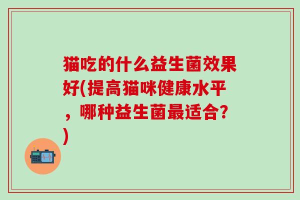 猫吃的什么益生菌效果好(提高猫咪健康水平，哪种益生菌最适合？)