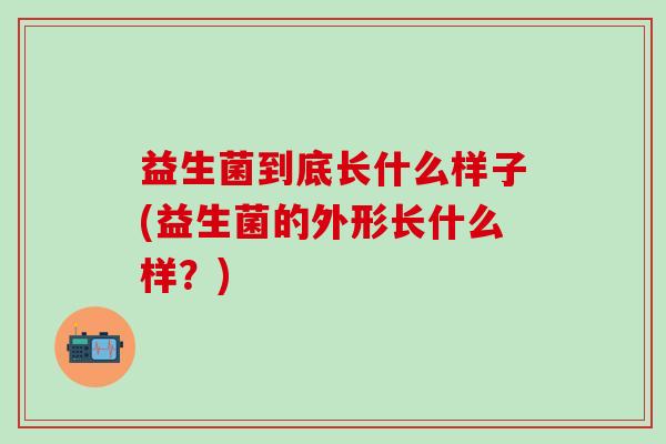 益生菌到底长什么样子(益生菌的外形长什么样？)