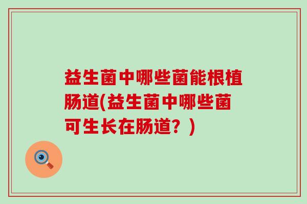 益生菌中哪些菌能根植肠道(益生菌中哪些菌可生长在肠道？)