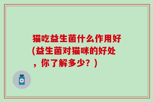 猫吃益生菌什么作用好(益生菌对猫咪的好处，你了解多少？)