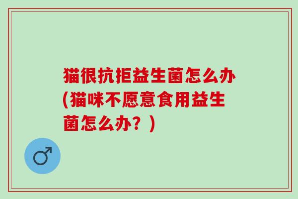猫很抗拒益生菌怎么办(猫咪不愿意食用益生菌怎么办？)