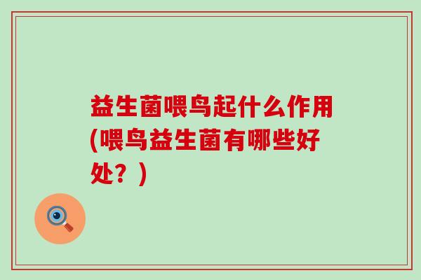 益生菌喂鸟起什么作用(喂鸟益生菌有哪些好处？)