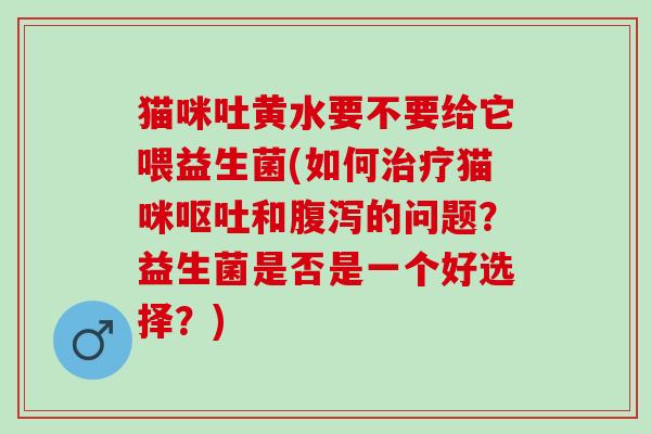 猫咪吐黄水要不要给它喂益生菌(如何治疗猫咪呕吐和腹泻的问题？益生菌是否是一个好选择？)