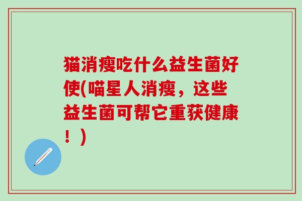 猫消瘦吃什么益生菌好使(喵星人消瘦，这些益生菌可帮它重获健康！)