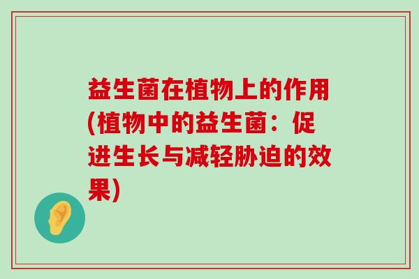 益生菌在植物上的作用(植物中的益生菌:促进生长与减轻胁迫的效果) 益生菌在植物上的作用(植物中的益生菌:促进生长与减轻胁迫的效果)