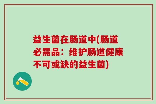 益生菌在肠道中(肠道必需品:维护肠道健康不可或缺的益生菌) 益生菌在肠道中(肠道必需品:维护肠道健康不可或缺的益生菌)