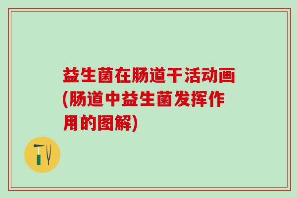 益生菌在肠道干活动画(肠道中益生菌发挥作用的图解)
