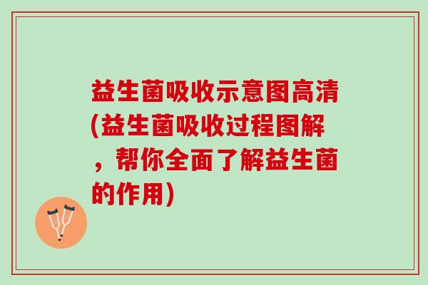 益生菌吸收示意图高清(益生菌吸收过程图解,帮你全面了解益生菌的作用) 益生菌吸收示意图高清(益生菌吸收过程图解,帮你全面了解益生菌的作用)