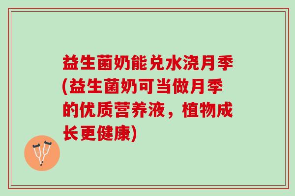 益生菌奶能兑水浇月季(益生菌奶可当做月季的优质营养液，植物成长更健康)