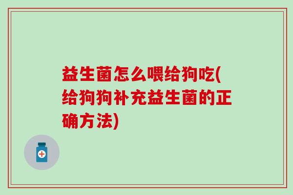 益生菌怎么喂给狗吃(给狗狗补充益生菌的正确方法)