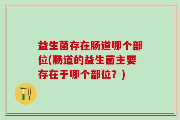 益生菌存在肠道哪个部位(肠道的益生菌主要存在于哪个部位？)