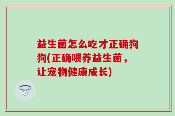 益生菌怎么吃才正确狗狗(正确喂养益生菌，让宠物健康成长)