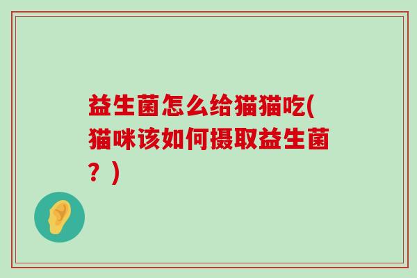 益生菌怎么给猫猫吃(猫咪该如何摄取益生菌？)