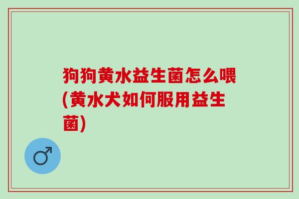 狗狗黄水益生菌怎么喂(黄水犬如何服用益生菌)