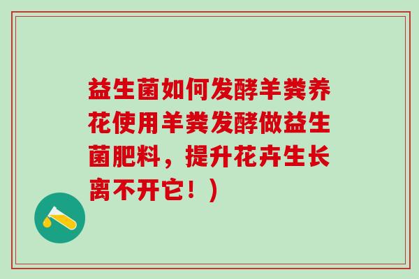 益生菌如何发酵羊粪养花使用羊粪发酵做益生菌肥料，提升花卉生长离不开它！)