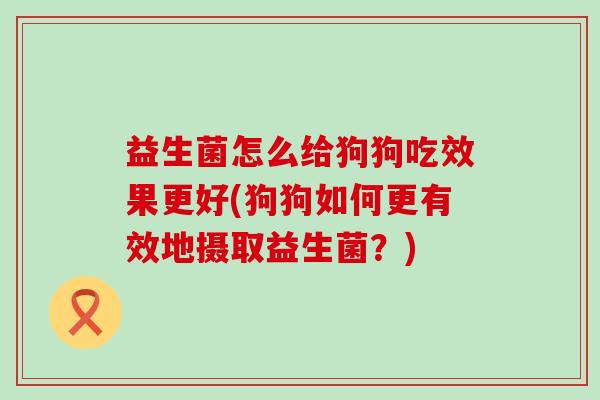 益生菌怎么给狗狗吃效果更好(狗狗如何更有效地摄取益生菌？)