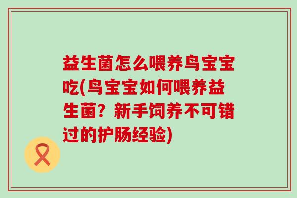 益生菌怎么喂养鸟宝宝吃(鸟宝宝如何喂养益生菌？新手饲养不可错过的护肠经验)
