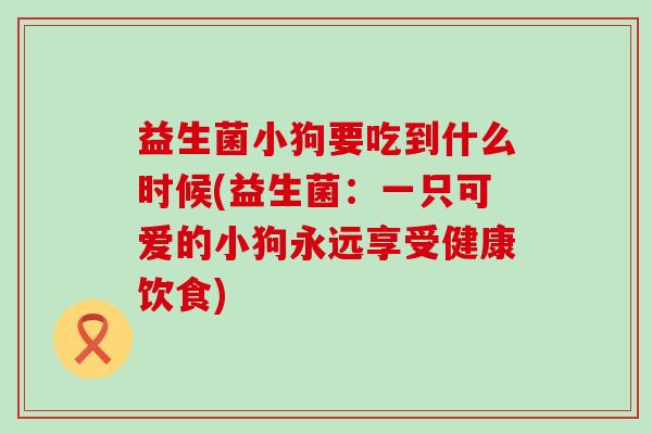 益生菌小狗要吃到什么时候(益生菌:一只可爱的小狗永远享受健康饮食) 益生菌小狗要吃到什么时候(益生菌:一只可爱的小狗永远享受健康饮食)