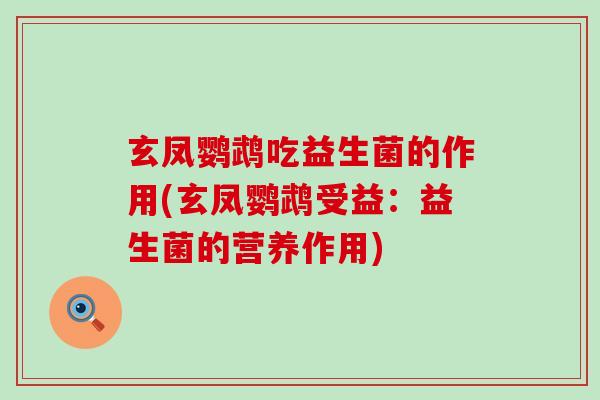 玄凤鹦鹉吃益生菌的作用(玄凤鹦鹉受益：益生菌的营养作用)