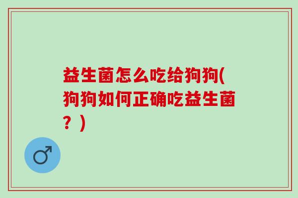 益生菌怎么吃给狗狗(狗狗如何正确吃益生菌？)