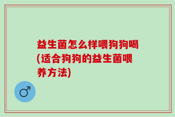 益生菌怎么样喂狗狗喝(适合狗狗的益生菌喂养方法) 益生菌怎么样喂狗狗喝(适合狗狗的益生菌喂养方法)