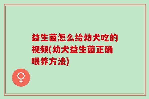 益生菌怎么给幼犬吃的视频(幼犬益生菌正确喂养方法)