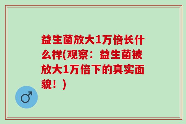 益生菌放大1万倍长什么样(观察:益生菌被放大1万倍下的真实面貌!) 益生菌放大1万倍长什么样(观察:益生菌被放大1万倍下的真实面貌!)