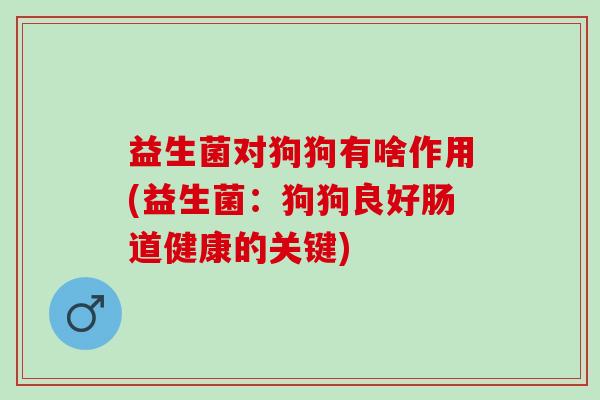 益生菌对狗狗有啥作用(益生菌:狗狗良好肠道健康的关键) 益生菌对狗狗有啥作用(益生菌:狗狗良好肠道健康的关键)