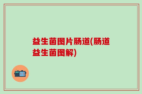益生菌图片肠道(肠道益生菌图解)