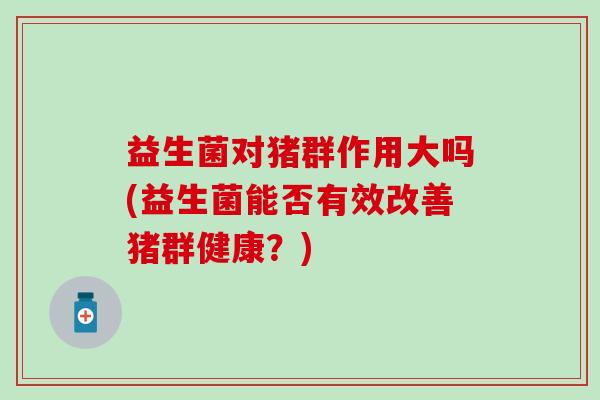 益生菌对猪群作用大吗(益生菌能否有效改善猪群健康？)
