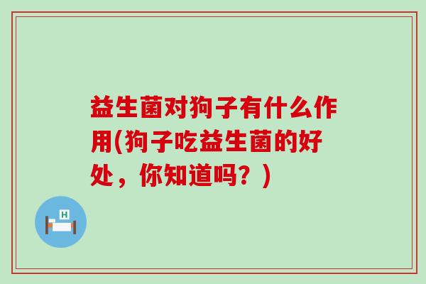 益生菌对狗子有什么作用(狗子吃益生菌的好处，你知道吗？)