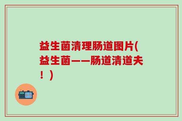 益生菌清理肠道图片(益生菌——肠道清道夫！)