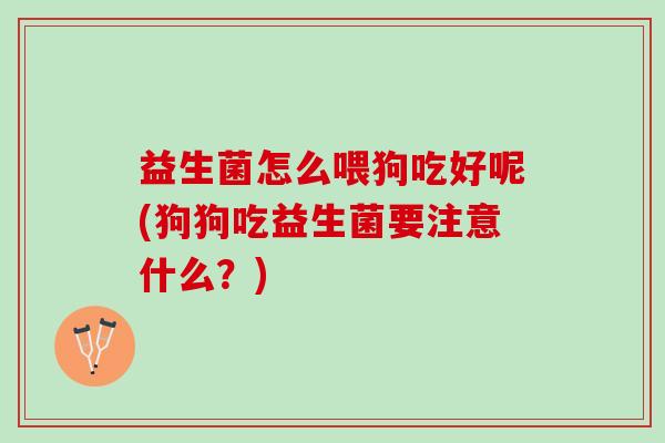 益生菌怎么喂狗吃好呢(狗狗吃益生菌要注意什么？)