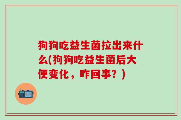 狗狗吃益生菌拉出来什么(狗狗吃益生菌后大便变化,咋回事?) 狗狗吃益生菌拉出来什么(狗狗吃益生菌后大便变化,咋回事?)