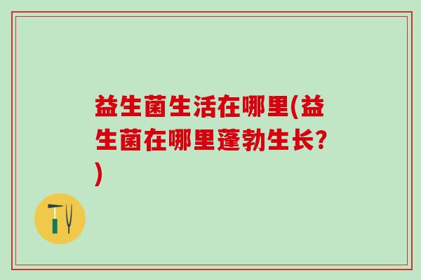 益生菌生活在哪里(益生菌在哪里蓬勃生长？)