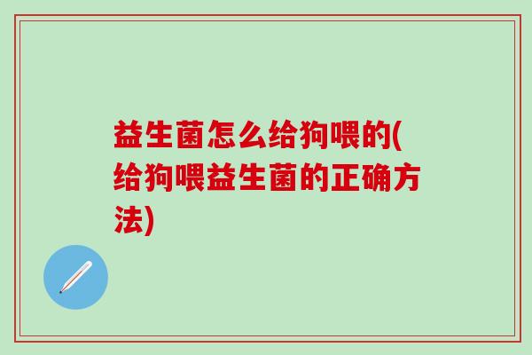 益生菌怎么给狗喂的(给狗喂益生菌的正确方法)