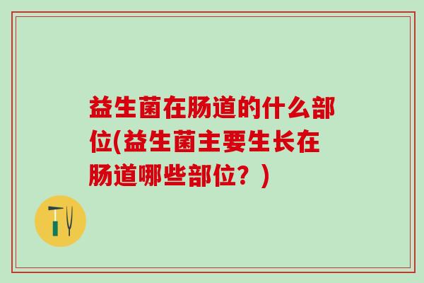 益生菌在肠道的什么部位(益生菌主要生长在肠道哪些部位？)