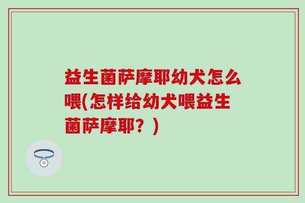 益生菌萨摩耶幼犬怎么喂(怎样给幼犬喂益生菌萨摩耶？)
