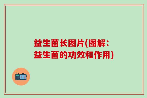 益生菌长图片(图解：益生菌的功效和作用)
