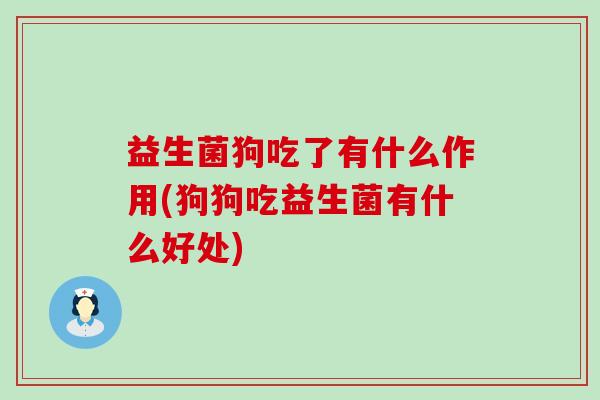 益生菌狗吃了有什么作用(狗狗吃益生菌有什么好处) 益生菌狗吃了有什么作用(狗狗吃益生菌有什么好处)