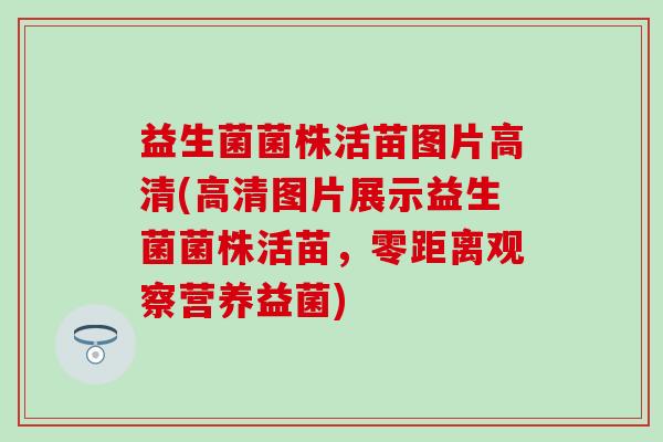 益生菌菌株活苗图片高清(高清图片展示益生菌菌株活苗，零距离观察营养益菌)