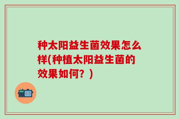 种太阳益生菌效果怎么样(种植太阳益生菌的效果如何？)