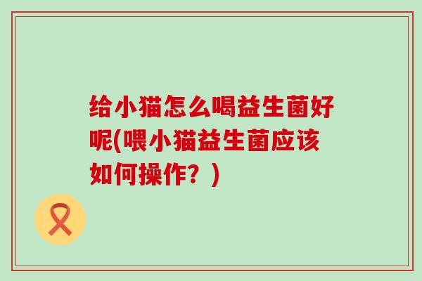 给小猫怎么喝益生菌好呢(喂小猫益生菌应该如何操作？)