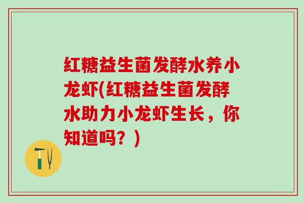 红糖益生菌发酵水养小龙虾(红糖益生菌发酵水助力小龙虾生长，你知道吗？)