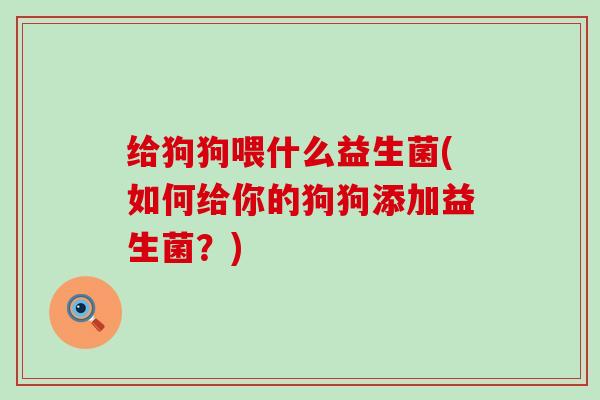 给狗狗喂什么益生菌(如何给你的狗狗添加益生菌？)