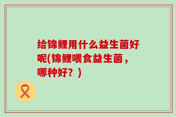 给锦鲤用什么益生菌好呢(锦鲤喂食益生菌，哪种好？)